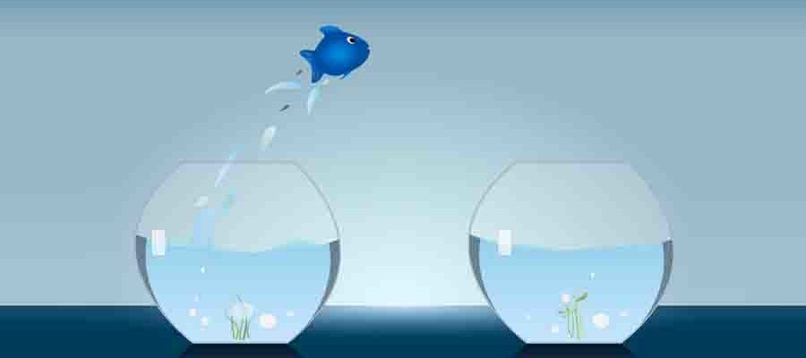 Importance-of-Packers-Movers-Services-While-Relocating